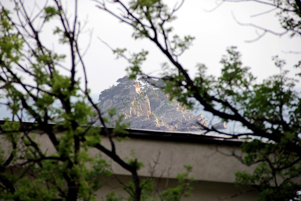 Apartments Draskovic Mirista Petrovac Bagian luar foto